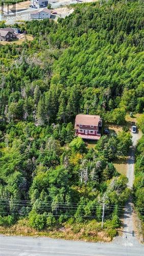 582-594 Indian Meal Line, Torbay, NL - Outdoor With View