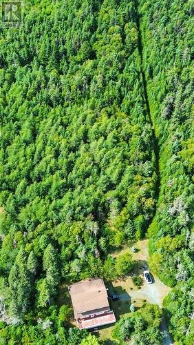 582-594 Indian Meal Line, Torbay, NL 
