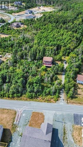 582-594 Indian Meal Line, Torbay, NL 