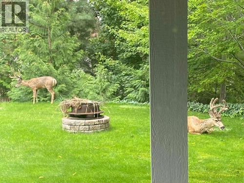 3319 Grouse Road, West Kelowna, BC - Outdoor