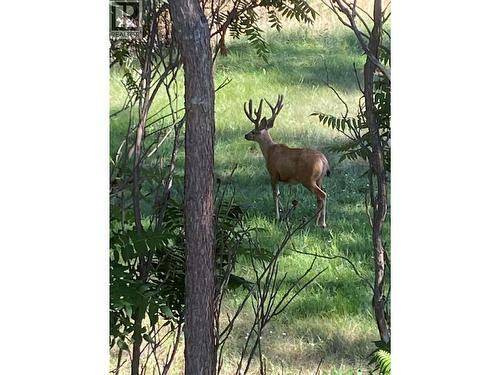 3319 Grouse Road, West Kelowna, BC -  With View