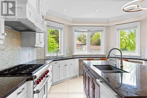 221 Elmwood Avenue, Toronto, ON - Indoor Photo Showing Kitchen With Double Sink With Upgraded Kitchen