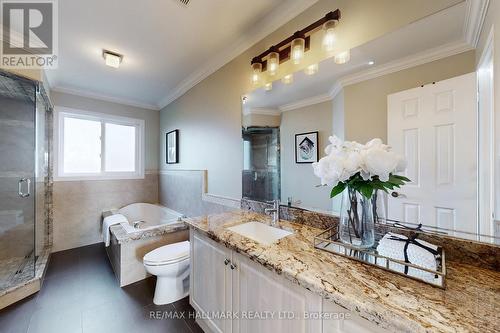 20 Palomino Drive, Richmond Hill, ON - Indoor Photo Showing Bathroom
