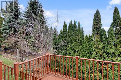 20 Palomino Drive, Richmond Hill, ON - Outdoor