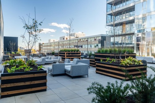 Terrasse - 506-1500 Boul. René-Lévesque O., Montréal (Ville-Marie), QC - Outdoor With Balcony