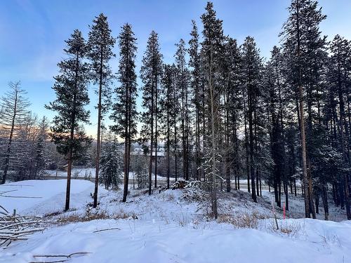 861 Deer Run Drive, Kimberley, BC - Outdoor With View