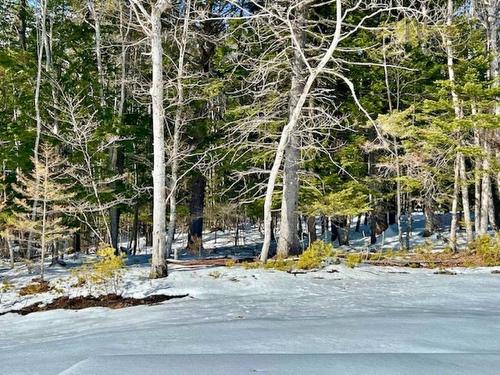 144 Winburn Avenue, Bridgewater, NS 