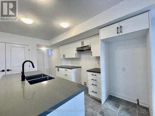 Basement - 19 Gateway Drive, Barrie, ON - Indoor Photo Showing Kitchen With Double Sink