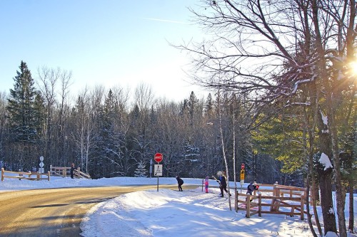 Extérieur - 1104 Ch. Du Massif, Piedmont, QC - Outdoor With View