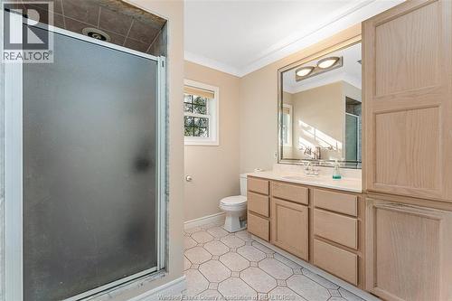 1005 Bouffard, Lasalle, ON - Indoor Photo Showing Bathroom