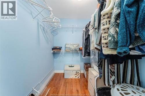 1005 Bouffard, Lasalle, ON - Indoor With Storage