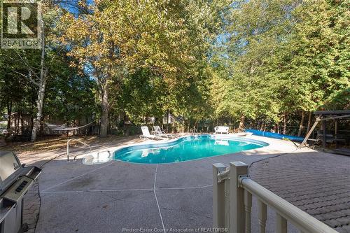 1005 Bouffard, Lasalle, ON - Outdoor With In Ground Pool