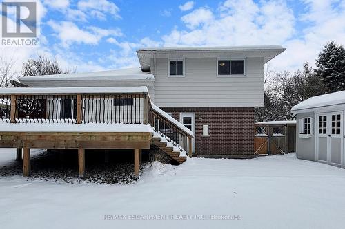 19 Douglas Road, Hamilton, ON - Outdoor With Deck Patio Veranda With Exterior