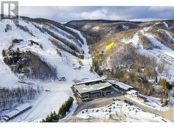 16 - 242 ARROWHEAD ROAD  Blue Mountains, ON L9Y 0S1