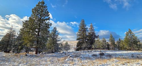 3093 Mission Wycliffe Road, Wycliffe, BC - Outdoor With View