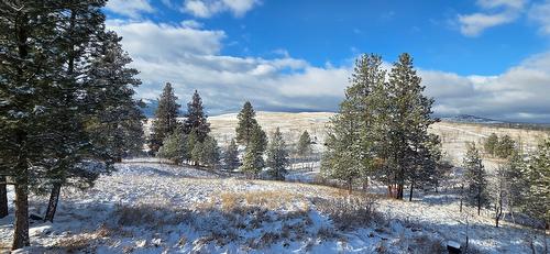 3093 Mission Wycliffe Road, Wycliffe, BC - Outdoor With View