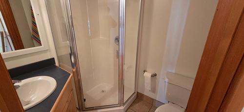 3093 Mission Wycliffe Road, Wycliffe, BC - Indoor Photo Showing Bathroom