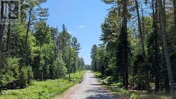 LOT 11 CRIMSON LANE  Huntsville (Stephenson), ON P0B 1L0