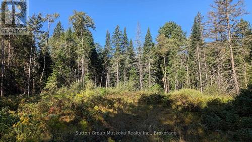 Lot 17 Crimson Lane, Huntsville (Stephenson), ON 