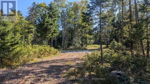 Lot 17 Crimson Lane, Huntsville (Stephenson), ON 