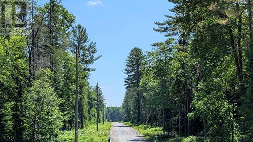 Lot 18 Crimson Lane, Huntsville (Stephenson), ON 