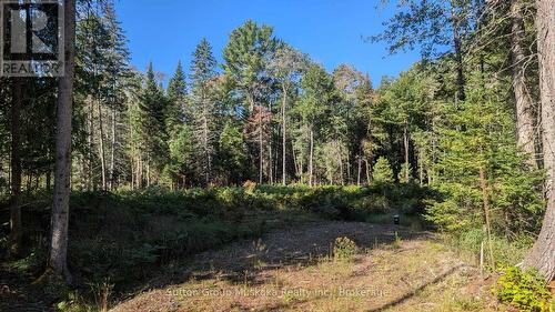 Lot 18 Crimson Lane, Huntsville (Stephenson), ON 