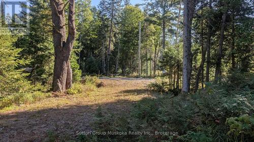 Lot 18 Crimson Lane, Huntsville (Stephenson), ON 