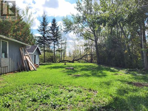 Backyard - 34 Robinson Avenue, Kawartha Lakes, ON - Outdoor