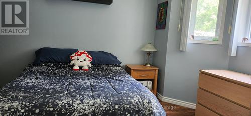 Lower Level Unit - 39 Reid Street, Quinte West, ON - Indoor Photo Showing Bedroom