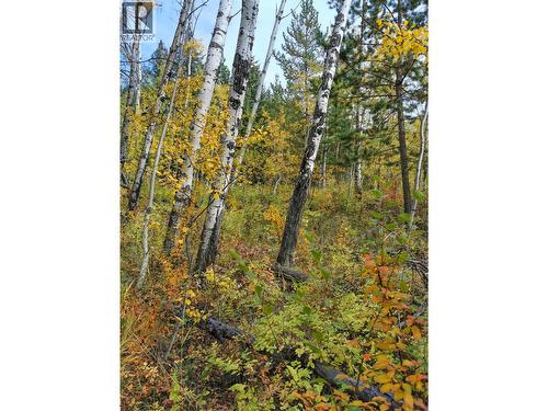 268 Blackstock Road, 100 Mile House, BC 