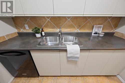 Kitchen - 208 - 2228 Trafalgar Street, London East (East I), ON - Indoor Photo Showing Kitchen With Double Sink