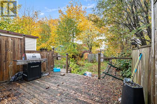 22 Spencer Street, St. John'S, NL - Outdoor
