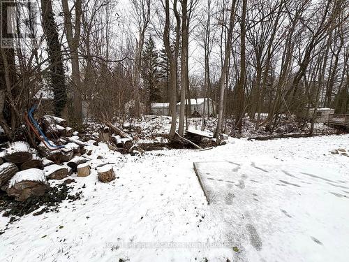 304 Eliza Street, Meaford, ON - Outdoor