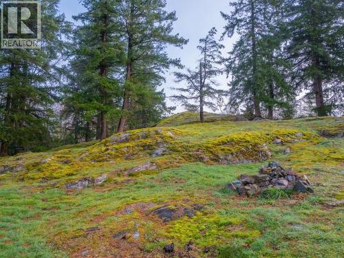 5875 Fraser Street, Powell River, BC - Outdoor With View