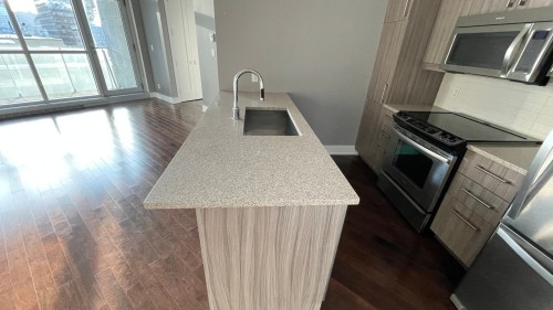 Kitchen - 905-1225 Boul. Robert-Bourassa, Montréal (Ville-Marie), QC - Indoor Photo Showing Kitchen