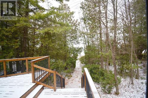 54 Carter Road, Northern Bruce Peninsula, ON - Outdoor