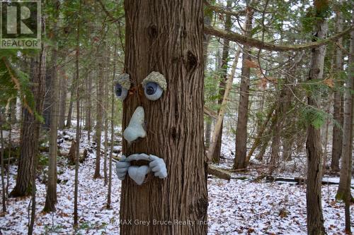 54 Carter Road, Northern Bruce Peninsula, ON - Outdoor