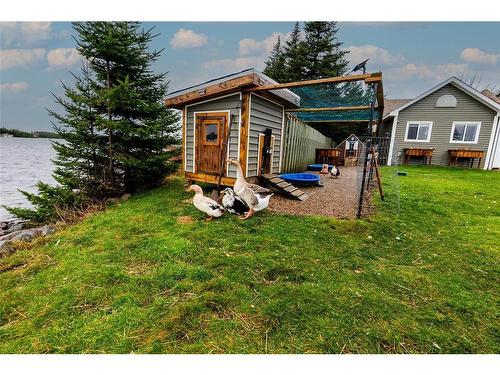 61 Deer Park Road, Deer Park, NL 