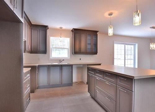 Cuisine - 1463 Rue Ovide, Val-David, QC - Indoor Photo Showing Kitchen