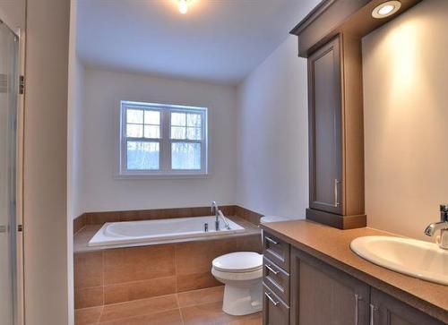 Salle de bains - 1463 Rue Ovide, Val-David, QC - Indoor Photo Showing Bathroom