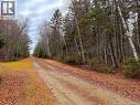 Right of way - Wellington Street, Loggieville, NB 