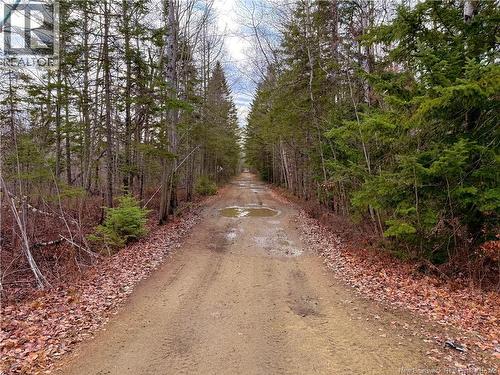 Walking/ATV/snowmobile trail behind the property - Wellington Street, Loggieville, NB 