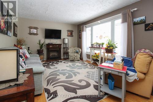 1219 Meadowview Road, Kawartha Lakes (Emily), ON - Indoor With Fireplace