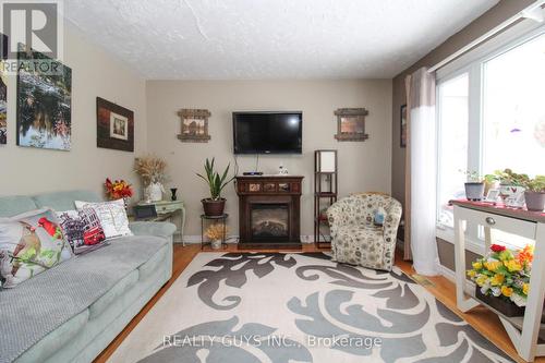 1219 Meadowview Road, Kawartha Lakes (Emily), ON - Indoor Photo Showing Living Room With Fireplace