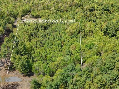 Lot 102 Cleversey Ridge Park, Fauxburg, NS 