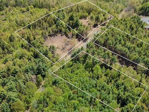 Lot 102 Cleversey Ridge Park, Fauxburg, NS 