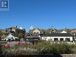 Blue Mountain Village - 