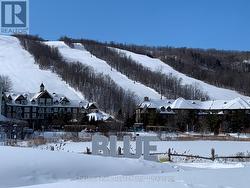 Blue Mountain winter - 