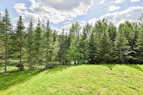 Extérieur - 1608 Ch. Des Achillées, Piedmont, QC - Outdoor With View