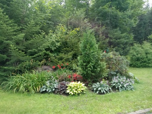 Extérieur - 29 Ch. Des Mésanges, Sainte-Anne-Des-Lacs, QC - Outdoor